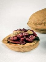 Halbe und ganze Walnuss der Sorte Rote Donaunuss Nr 1239