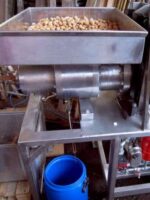 Thunstetten Traubennuss bei der Verarbeitung